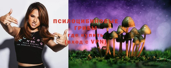 ПСИЛОЦИБИНОВЫЕ ГРИБЫ Белокуриха