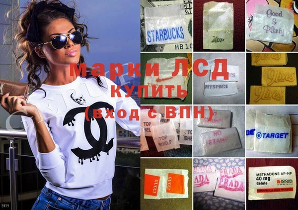 ПСИЛОЦИБИНОВЫЕ ГРИБЫ Белокуриха