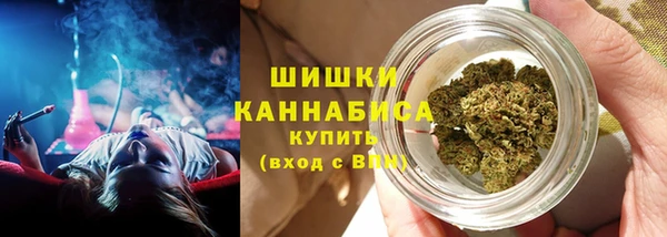 ПСИЛОЦИБИНОВЫЕ ГРИБЫ Белокуриха