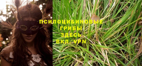 ПСИЛОЦИБИНОВЫЕ ГРИБЫ Белокуриха