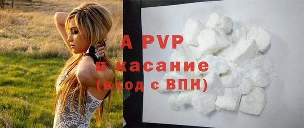 ПСИЛОЦИБИНОВЫЕ ГРИБЫ Белокуриха